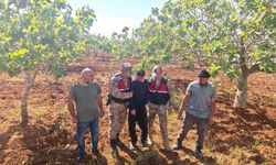 Şanlıurfa’da kaybolan genç fıstık bahçesinde bulundu