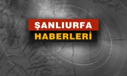 Şanlıurfa'da üvey kardeşler arasında arazi kavgası: 2 ölü