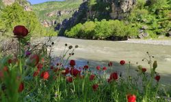 Sason’daki Zore Kanyonu doğaseverlerin ilgisini çekiyor