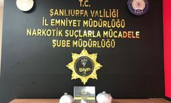 Şanlıurfa’da 6 kilo 800 gram skunk ele geçirildi