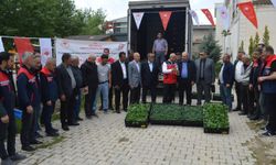 Siirt’te 70 bin sebze fidesi çiftçilere dağıtıldı