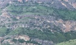 Siirt'te kayalıklardan düşen şahıs hayatını kaybetti