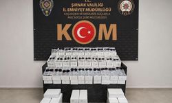 Şırnak’ta narko ve kaçakçılık operasyonu: 5 tutuklama