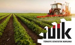 Tarımsal girdi maliyetleri yıllık yüzde 34,26 arttı