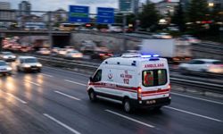 Yılanı vurmak isterken 5 kişiyi yaraladı