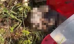 Valilikten mezarlıkta bulunan "cenin"lerle ilgili açıklama