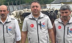 Yetimler Vakfı Nijerya'da kurban eti dağıttı