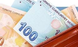 Yurt dışındaki kazancını Türkiye’ye getirene 20 yıl vergi istisnası