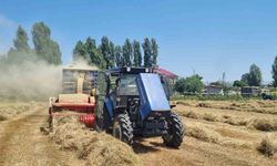 Muş'ta kavurucu sıcakta kış hazırlığı