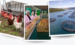 30 milyon avroluk yeni destek çağrısı yayımlandı