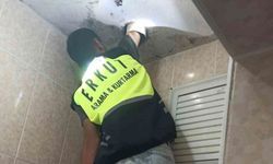 Siirt'te lavabo borusuna sıkışan yavru kedi kurtarıldı