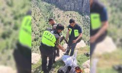 Siirt'te 8 gündür mahsur kalan keçi için seferber oldular