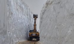 Yüksekova'da kar 6 metre: Ekipler kardan tüneller açarak ilerliyor