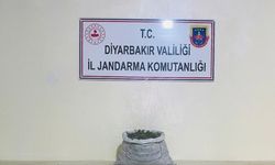 Diyarbakır'da 19 kilo 800 gram esrar ele geçirildi