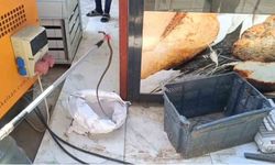 Gaziantep'te yerleşim yerinde yılan paniği