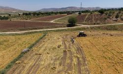 Gercüş'te mercimek rekoltesi çiftçinin yüzünü güldürdü