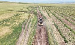Hasat dönemi öncesi Siirt'te arazi yollarında bakım seferberliği