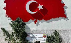Hilvan'da narkotik operasyonu: Bir gözaltı