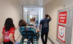 Kediye çarpmamak için direksiyon kırdı, kendileri hastanelik oldu