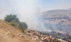 Mardin'de ormanlık alanda çıkan yangına müdahale ediliyor