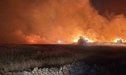 Mazıdağı'nda çıkan yangında ekili araziler zarar gördü