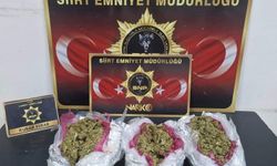 Siirt'te aranan 33 şahıs yakalandı