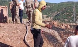 Siirt'te çıkan yangın ekiplerin müdahalesiyle söndürüldü