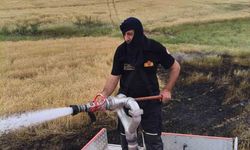 Silvan'da 2 dönümlük ekili alan kül oldu