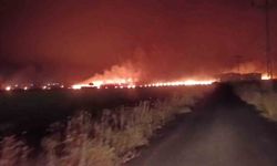 Şırnak'ta 300 dönümlük alan küle döndü