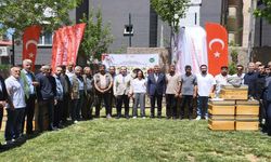 Şırnak’taki arıcılara büyük hibe desteği