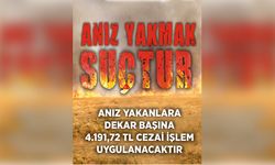 Valilikten anız uyarısı: Dekar başına 4 bin 191 TL ceza
