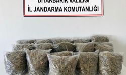 Diyarbakır'da 38,5 kilo esrar ele geçirildi