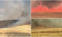 Çınar'da ekili alanda büyük yangın