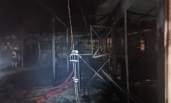 Batman’da at çiftliğinde yangında 3 at telef oldu