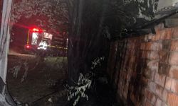 Bingöl’de korkutan bahçe yangını