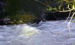 Bingöl’de nehirde kaybolan şahıs için arama çalışması başlatıldı
