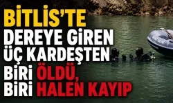 Bitlis’te dereye giren 3 kardeşten 1'i öldü, 1'i kayıp