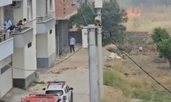 Diyarbakır'da çıkan anız yangını paniğe neden oldu