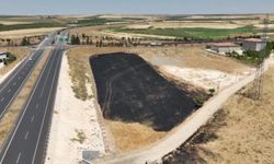 Şanlıurfa'da arpa ekili arazide yangın: 30 dönüm alan zarar gördü