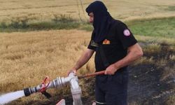Diyarbakır'da buğday ekili alan kül oldu
