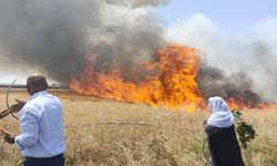 Diyarbakır'da buğday tarlası alevlere teslim oldu