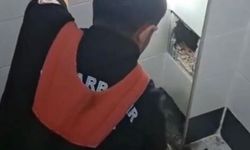 Diyarbakır'da itfaiye havalandırma boşluğunda kalan kedi için seferber oldu