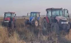 Diyarbakır'da mısır tarlası faciayı önledi: Buğday tarlası kül oldu