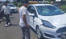 Diyarbakır'da yolun karşısına geçmek isterken hayatını kaybetti