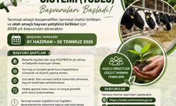 TODES 2026 yılı başvuru süreci başladı