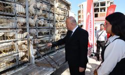 Adıyaman’da 150 aileye canlı tavuk ve horoz desteği