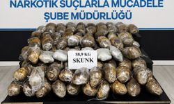 Hakkari'de 59 kilo skunk ele geçirildi