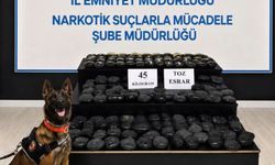 Hakkari'de aranan şahıs 45 kilo narkotik ile yakalandı