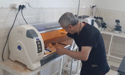 Dicle Üniversitesi Hayvan Hastanesinde teşhis ve tedavide yeni dönem