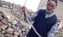 Iğdır'da eve girmeye çalışan yılanı çıplak elle yakaladı